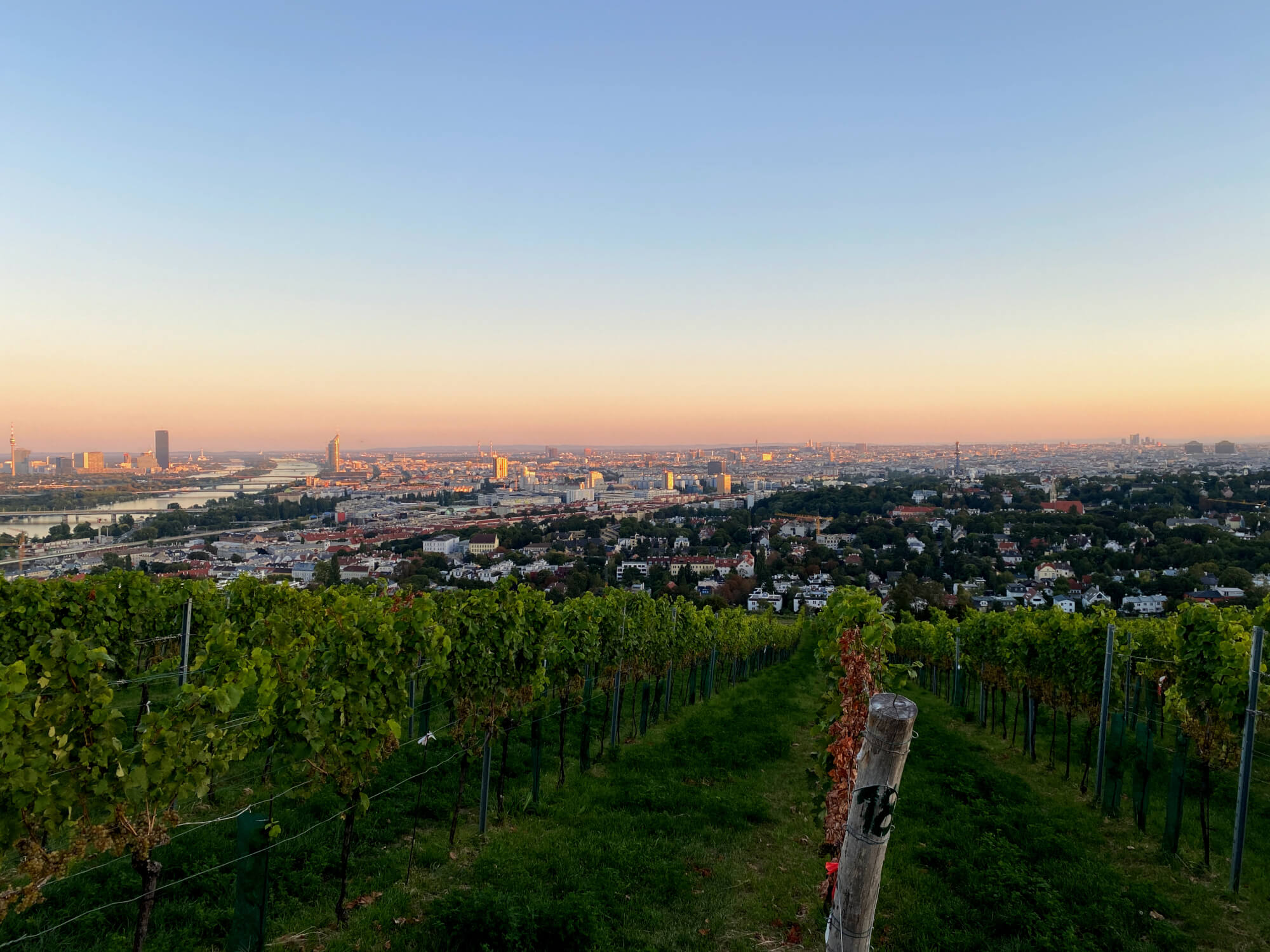 Drilona Wien Aussicht